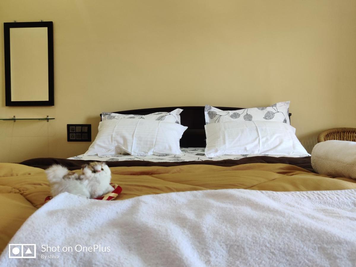 Lee Homestay Hampi Esterno foto