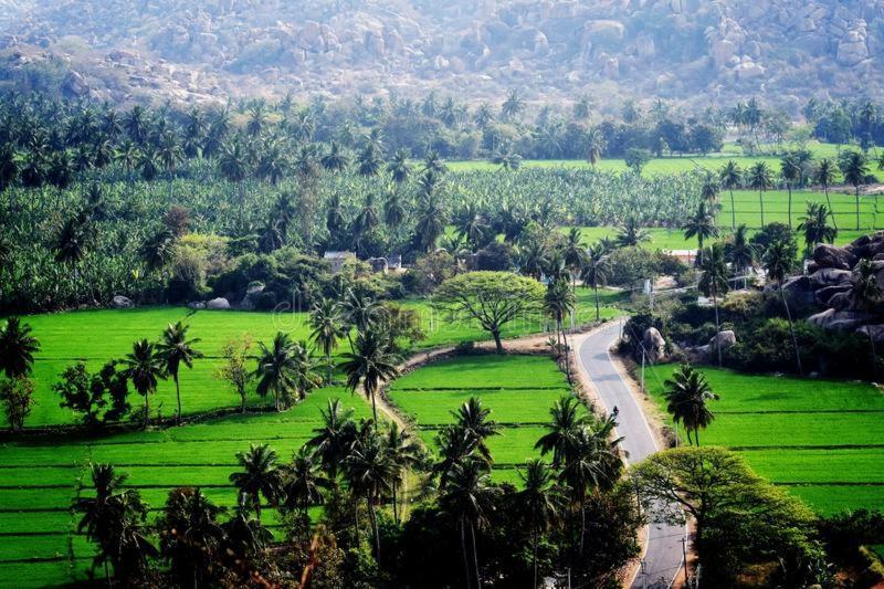 Lee Homestay Hampi Esterno foto